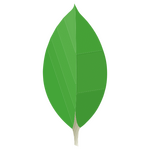 MongoDB